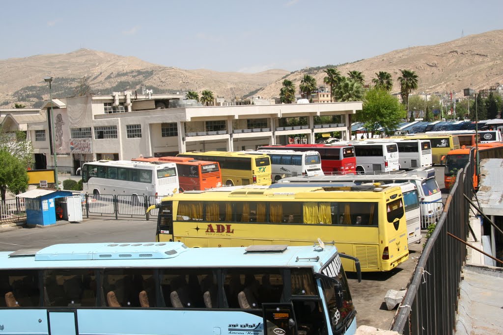 41231917 | حمل و نقل عمومی در شیراز • درناتریپ ✈️