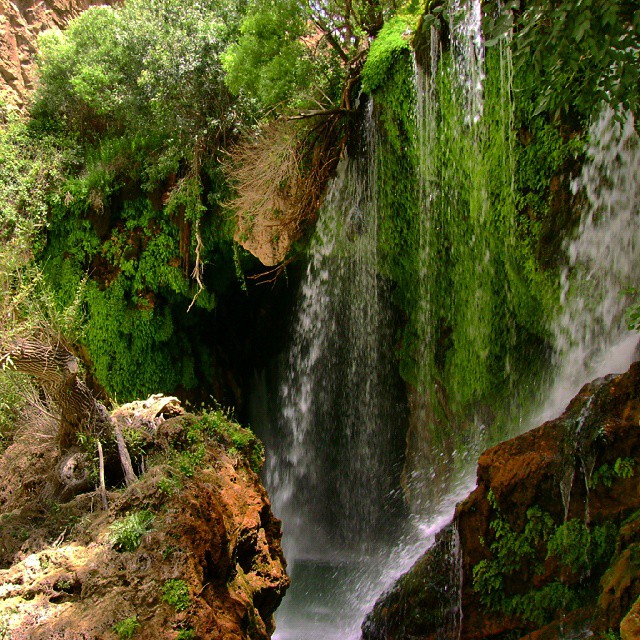 آبشار آب ملخ