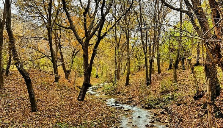 44306726 2071010673119697 2760905853790331767 n | روستای شمشیر • درناتریپ ✈️