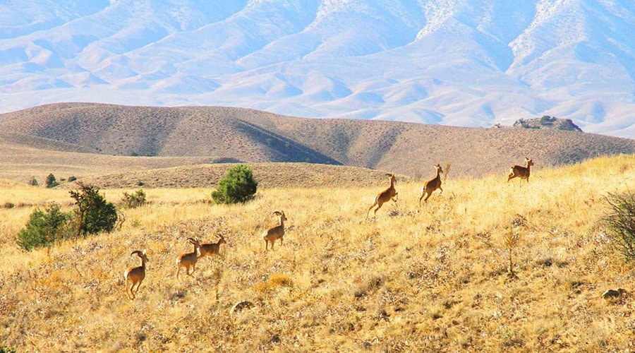 جاهای دیدنی استان گلستان