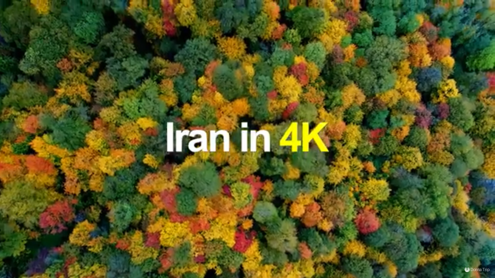 ایران با کیفیت 4K: پاییز در جنگل های هیرکانی