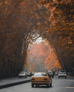 ولیعصر در پاییز | بهترین مکان های تهران برای عکاسی • درناتریپ ✈️