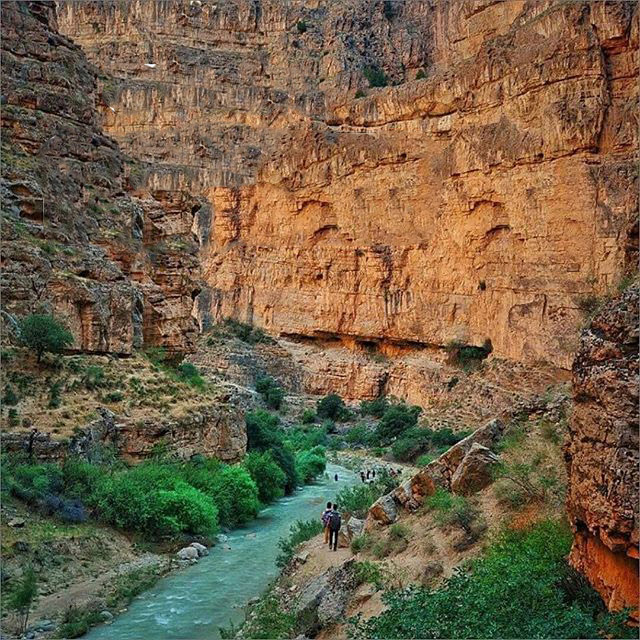 | دره های ایران • درناتریپ ✈️