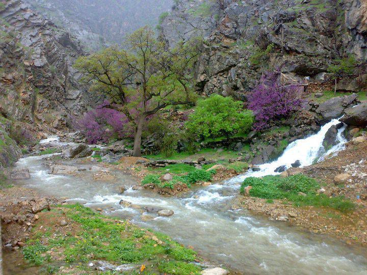 bolber 16 | روستای بلبر • درناتریپ ✈️