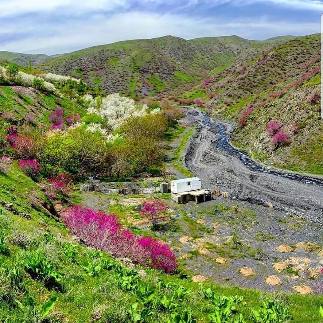 | دشت ارغوان مشهد • درناتریپ ✈️