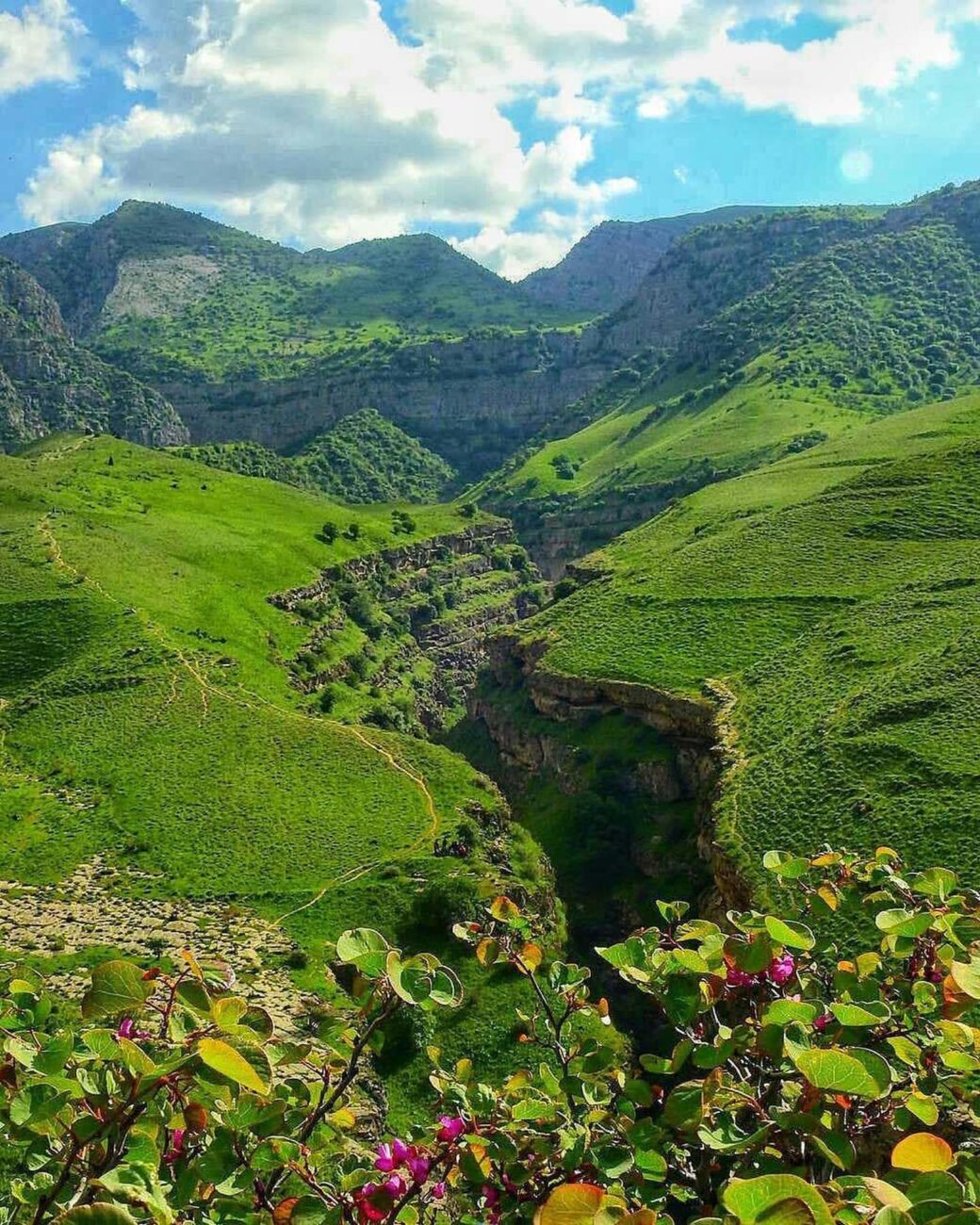 دشت ارغوان مشهد