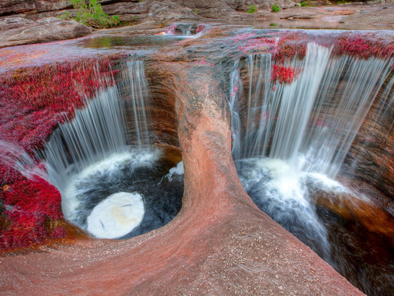 cano cristales colombia alamy DPWT3D scaled | چشمه هفت رنگ مجن • درناتریپ ✈️