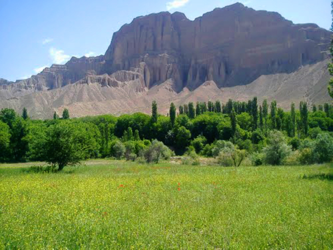 medium 1798 | روستای زرین دشت • درناتریپ ✈️