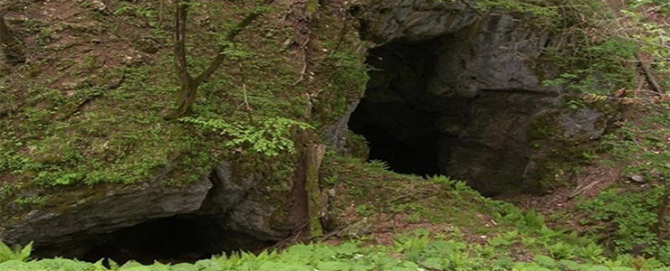1149 | غار آویشو • درناتریپ ✈️