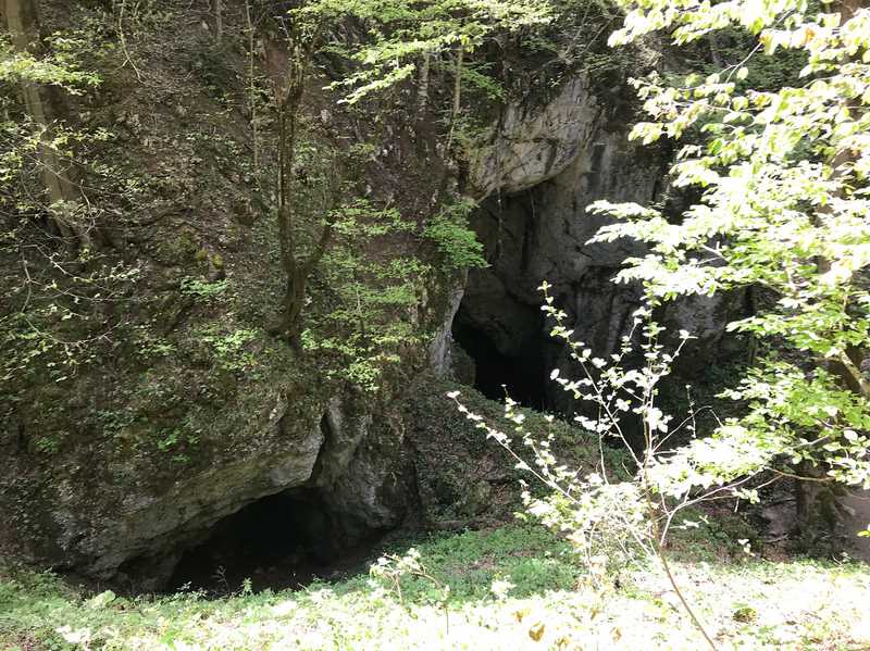 avish cave 3 | غار آویشو • درناتریپ ✈️
