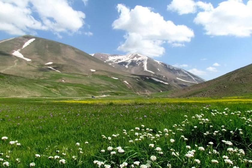 کوه سهند