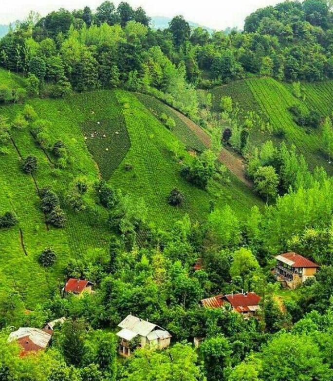 1939279 388 | جاهای دیدنی لنگرود • درناتریپ ✈️