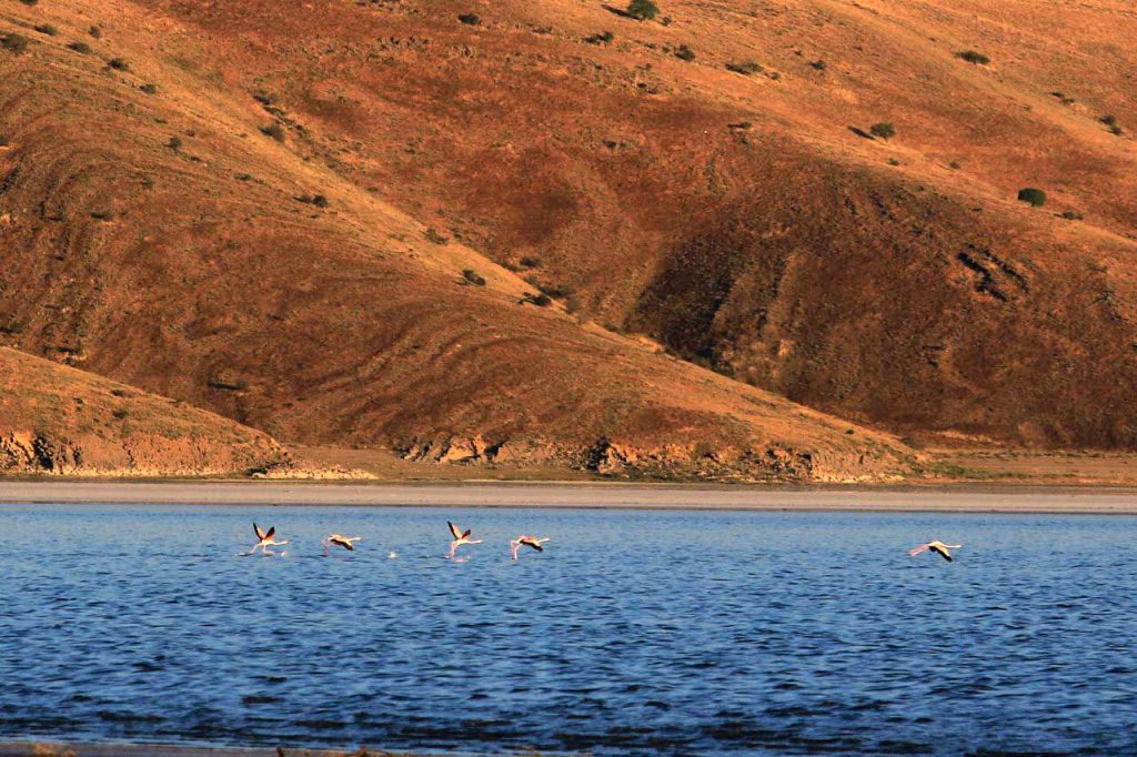اسلامی دریاچه ارومیه 1024x682 1 | • درناتریپ ✈️
