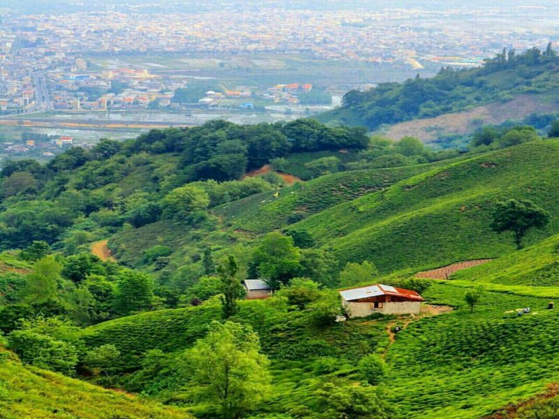 لنگرود | جاهای دیدنی لنگرود • درناتریپ ✈️