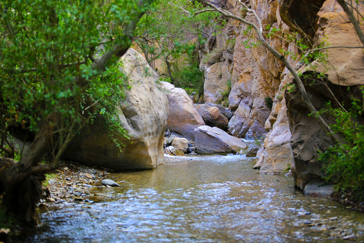 دره و روستای سکنج