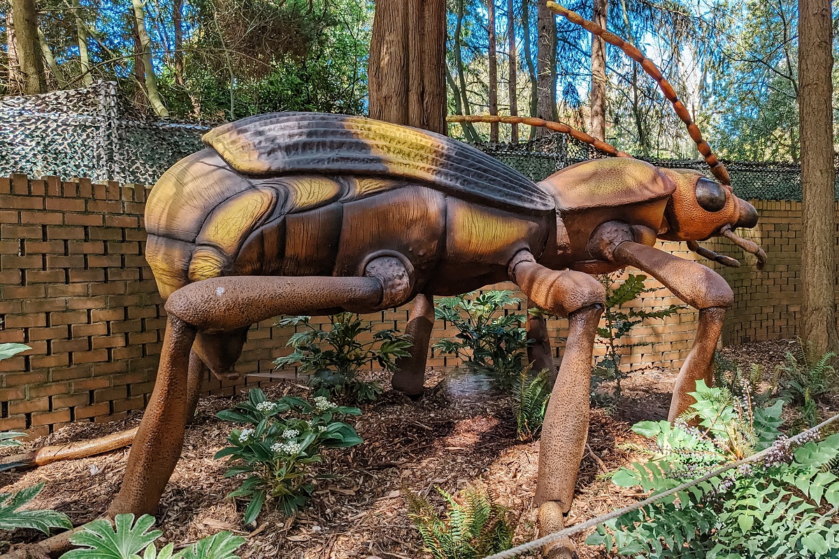 Woodland Park Zoo Bugs Eye View bombardier beetle credit Natasha Dillinger | پارک حشرات • درناتریپ ✈️