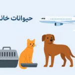 لباس محلی ترکمن • EIYlUEPtgK9vD8igM3P6aGsJh6dRL7TxxelhxxZS • درناتریپ ✈️